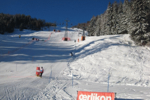 Course FIS