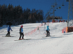 img 3864