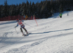img 3866