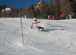 img 3941
