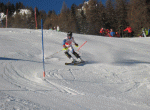img 3943