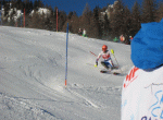 img 3948