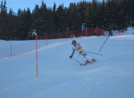 img 4017