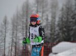 DSC 0046 s