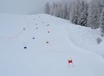 DSC 0089 s